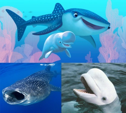 Tengeri élet rajzfilm - Finding Dory (oroszlánfókák) Tengeri élet rajzfilm - dori kereső