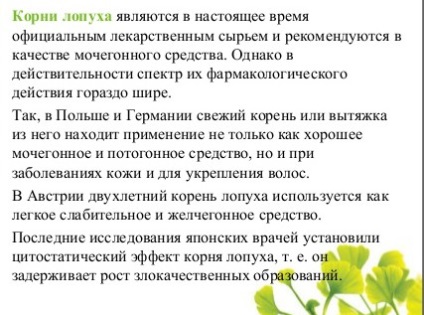 Emberek bojtorján kezelés (bojtorján gyökér) Népi kezelésére bojtorján