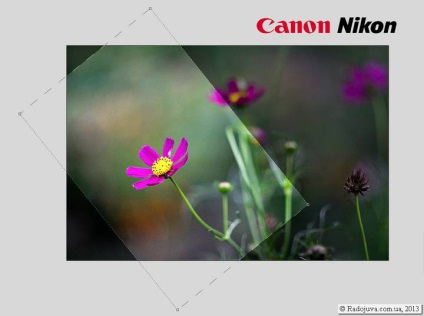 Nikon vs Canon (Canon) Nikon vs Canon