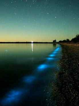 Night Light-tenger ... - pihenésre Bergyanszk