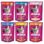 Újszülött cicák gondozás és etetés, fotó, ár, sziámi, Szfinx, Scottish fold (cica tápszert) Újszülött cicák gondozás és etetés, fotó, ár, sziámi, Szfinx, Scottish fold,