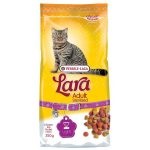 Újszülött cicák gondozás és etetés, fotó, ár, sziámi, Szfinx, Scottish fold (újszülött) Újszülött cicák gondozás és etetés, fotó, ár, sziámi, Szfinx, Scottish fold,