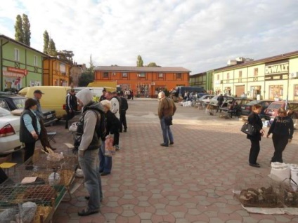 Odessa piac Odessa piac