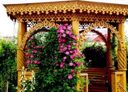 Eredeti házak fából pergola (fa) Eredeti házak fából pergolák