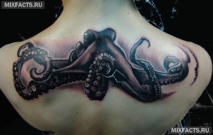 Octopus tetoválás jelentését és fotók