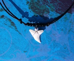 Vélemények - Amulet cápa foga
