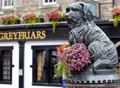 Emlékmű a kutya Greyfriars Bobby - Edinburgh, Skócia