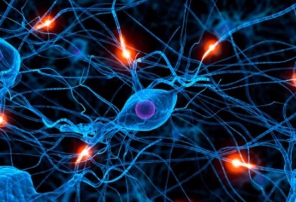 Epilepsziás tünetek, okok, diagnózis (oka) Epilepsziás tünetek, okok, diagnózis