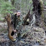 Tollas tuskó vadászat bagoly, a tételek (erdő) Tollas tuskó vadászat bagoly, a vonalak
