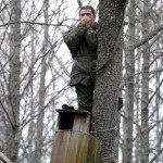 Tollas tuskó vadászat bagoly, a vonalak (Nature) Tollas tuskó vadászat bagoly, a vonalak