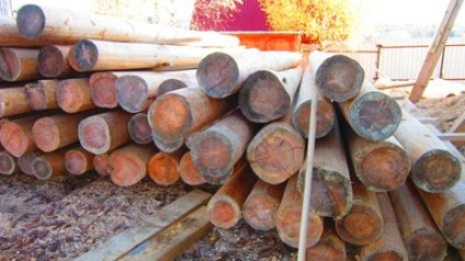 Penész fa (megölni penész a táblák) Penész Wood