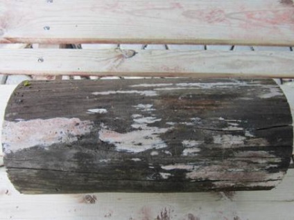 Penész fa (deszka megsemmisítése penész) Penész Wood