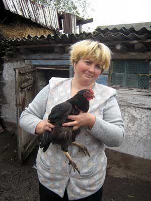 Kevesebb Lipetsk csirke vált kakas - Voronyezs információs portál az enyém! online