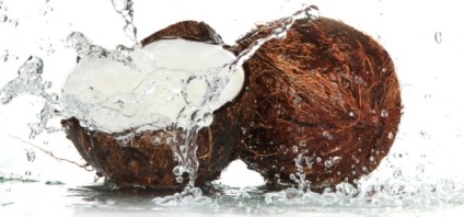 Előnyei és hátrányai kókusz és a tej, ehető! (Kókusz előnye, hogy a szervezetben) Előnyei és hátrányai kókusz és a tej, ehető!