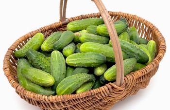 Előnyei uborka a népi gyógyászatban és a kozmetika (keverékkomponensekbői ellenében) Előnyei uborka a népi gyógyászatban és a kozmetikai