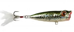 Poppers csuka - a top 10 legjobb és catchability modellek és azok árát, halászati technika (a legtöbb) Poppers csuka - a top 10 legjobb és catchability modellek és azok árát, horgászfelszerelés