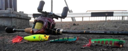 Poppers csuka - a top 10 legjobb és catchability modellek és azok árát, halászati technika (a legtöbb) Poppers csuka - a top 10 legjobb és catchability modellek és azok árát, horgászfelszerelés