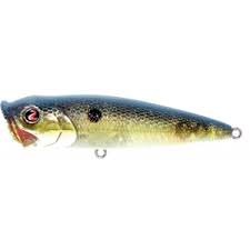 Poppers csuka - a top 10 legjobb és catchability modellek és azok árát, horgászfelszerelés (felszerelések) Poppers csuka - a top 10 legjobb és catchability modellek és azok árát, horgászfelszerelés