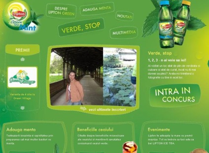 Példák oldalak zöld design (webdesign) Példák oldalak zöld design