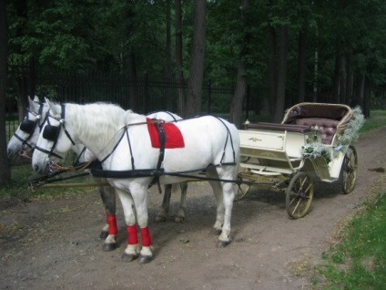 Hire lovak egy esküvő, egy ló egy esküvő - Az esküvő lóháton