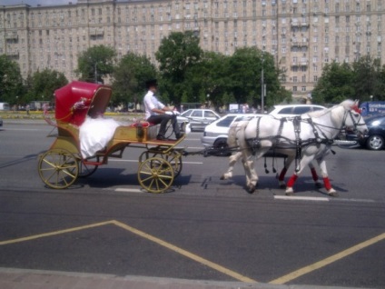 Hire lovak egy esküvő, egy ló egy esküvő - Az esküvő lóháton