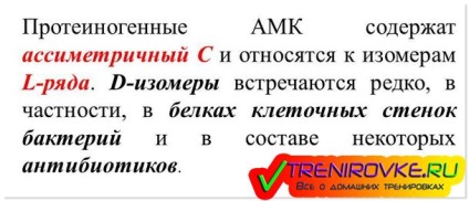 Proteinogén aminosavakkal - besorolása, kémiai összetétele (proteinogén aminosavak általános képletű) Proteinogén aminosavak - jellemzők, osztályozás, kémiai összetétele