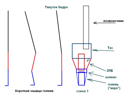 Nyúlik vissza felület combok - káros vagy hasznos jóga Ulyanovsk