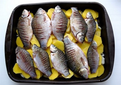 Receptek a ponty burgonyával és szabályok előkészítése halak