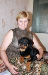 Rottweiler kennel és magán tenyésztő