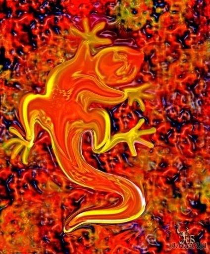 Salamander képek és a leírás (szalamandra fotó) Salamander kép és leírás