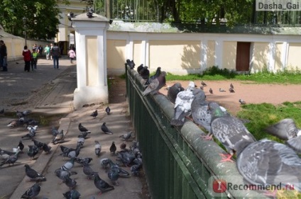 Budapest (Magyarország) - „azok számára, akik szeretnék, de nem tudja eldönteni, hogy nézze Budapest (z) Budapest (Magyarország) - „azok számára, akik szeretnék, de nem tudja eldönteni, hogy látogassa meg Budapest