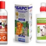 Flea sampon kutyáknak - vélemények és tanácsok alkalmazásáról szóló (vélemény) Flea sampon kutyáknak - vélemények és tanácsokat alkalmazásáról