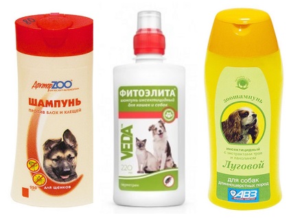 Flea sampon kutyáknak - vélemények és tanácsok alkalmazásáról szóló (vélemény) Flea sampon kutyáknak - vélemények és tanácsokat alkalmazásáról