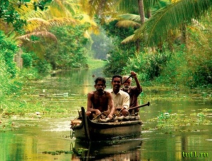 Goa (ültetvény goa fűszerek) Goa