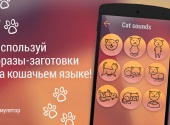 Download játék fordító macska