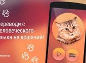 Download játék fordító macska