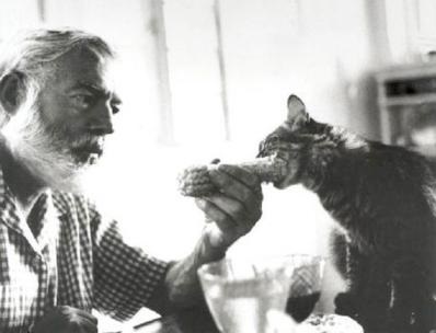 Snowball - Hatujjú macska Hemingway (ujj első mancsát) Snowball - Hatujjú macska Hemingway