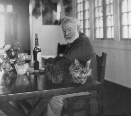 Snowball - Hatujjú macska Hemingway (ujj első mancsát) Snowball - Hatujjú macska Hemingway