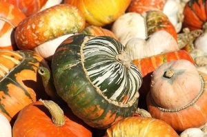 Fajta tök egy fénykép és egy leírás a legjobb és édes fajták videó tök (édes) Fajta tök egy fotót és a leírást, és a legjobb fajta édes sütőtök videó