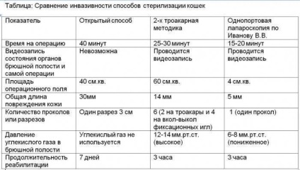 Sterilizálása macskák - mennyire szükséges előnyeiről és hátrányairól az eljárás, a közös mítoszok