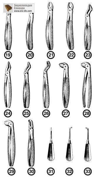 Fogászati szerszámok - orvosi etsiklopediya - Encyclopedia & amp; szótárak (fogorvosi eszközök) Fogászati szerszámok - orvosi etsiklopediya - Encyclopedia & amp; szótárak