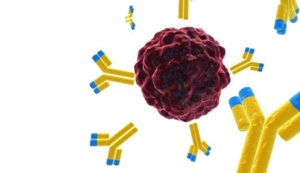 Streptococcus kezelése népi jogorvoslati otthon