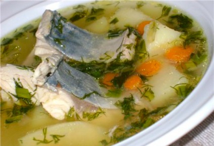 Makréla leves - a legjobb receptek - hogyan kell főzni egy finom leves