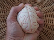 Szóval, ha neurózisok származik (ahol) Szóval, ha neurózisok venni