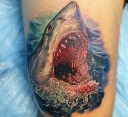 cápa tetoválás azaz fotók, hol, hogy a tetoválás egy cápa