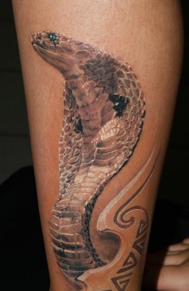 Cobra tetoválás - azaz tetoválás vázlatok és fényképek