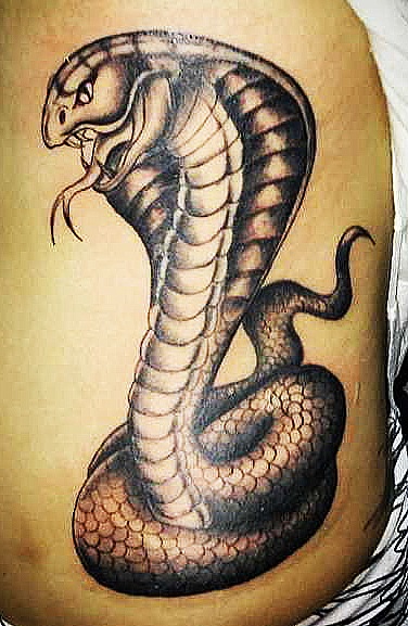 Tattoo Cobra Tattoo érték, 28 fényképek, vázlatok