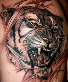Tattoo Tiger urkagany 18
