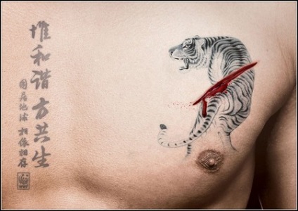 Tetoválás a reklám - a test, mint egy reklám terület (tetoválás) Tattoo reklám - a test reklámfelület