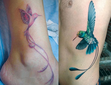 Kolibri tetoválás kinek illik, hogy hová kell a szín, stílus, design (megfelelő) Kolibri tetoválás kinek illik, hogy hová kell a szín, stílus, vázlat